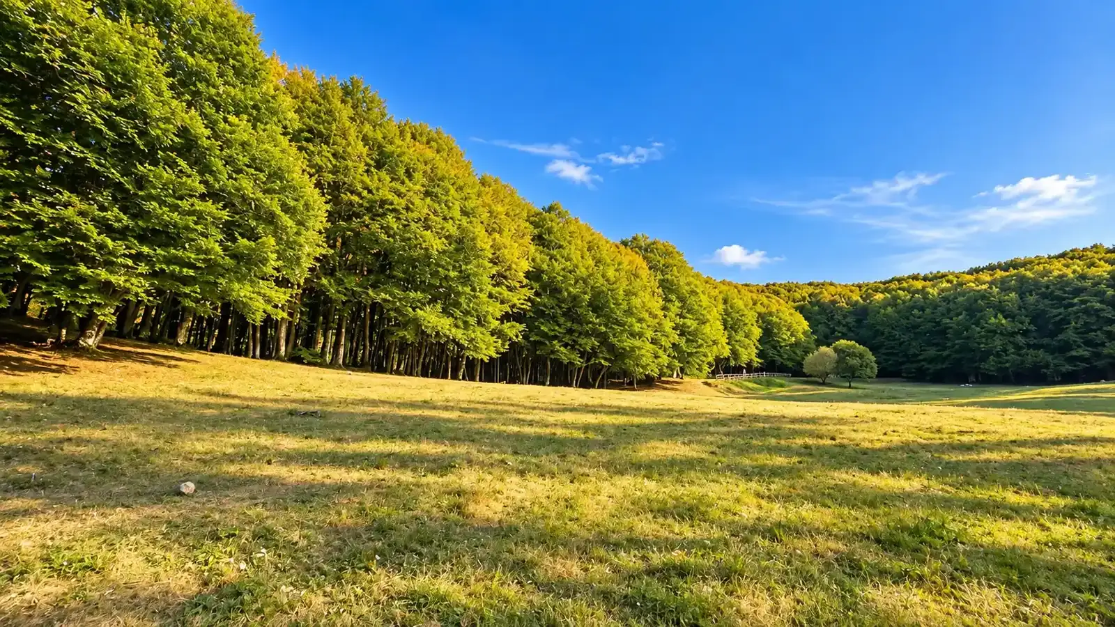 Monte Li Foj e Bosco della Nevena