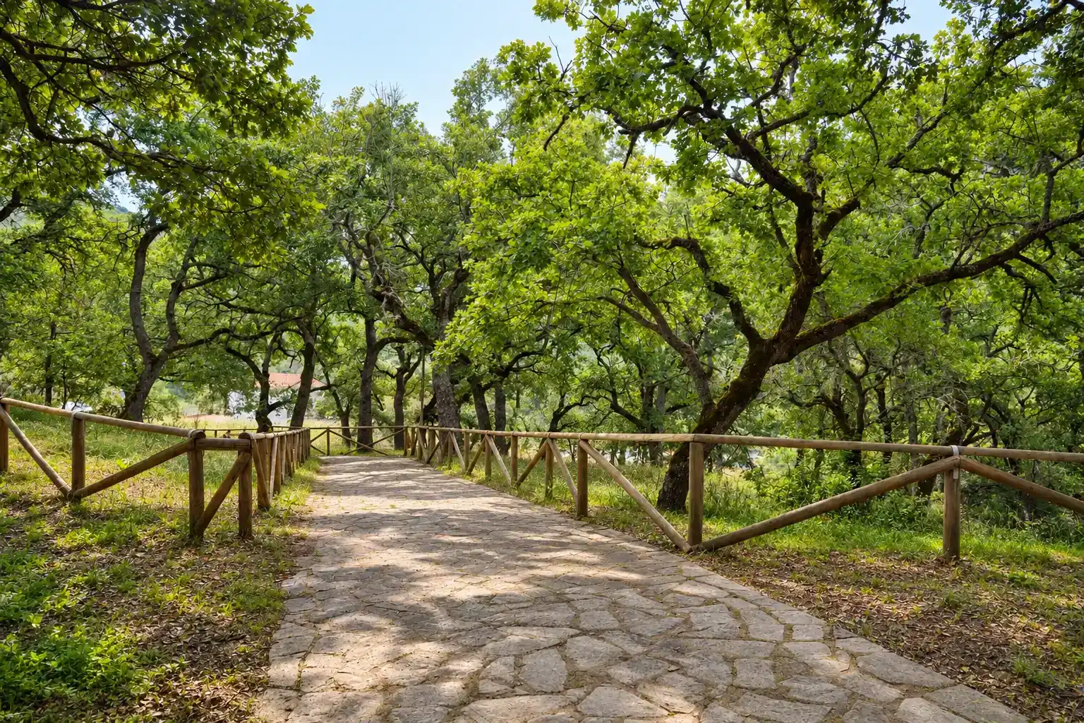 Parco della Grancia e Foresta Grancia