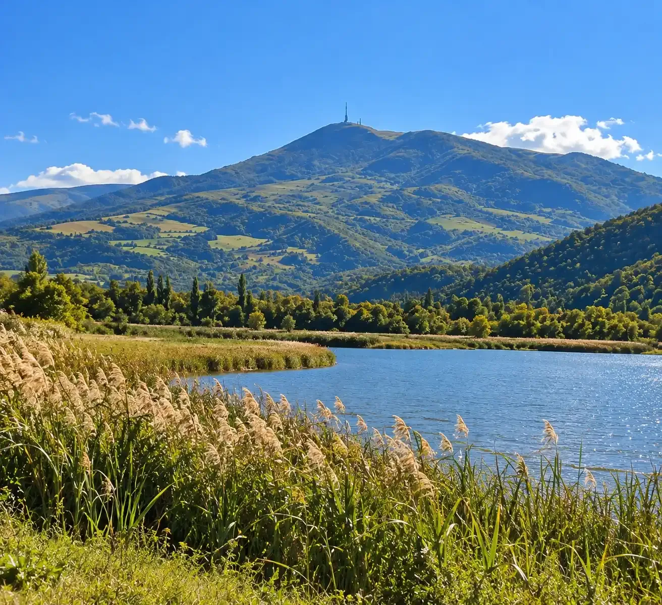 Riserva Naturale Regionale Lago Pantano di Pignola