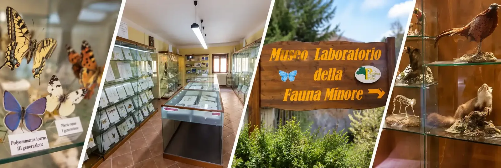 Museo Laboratorio della Fauna Minore del Parco Nazionale del Pollino