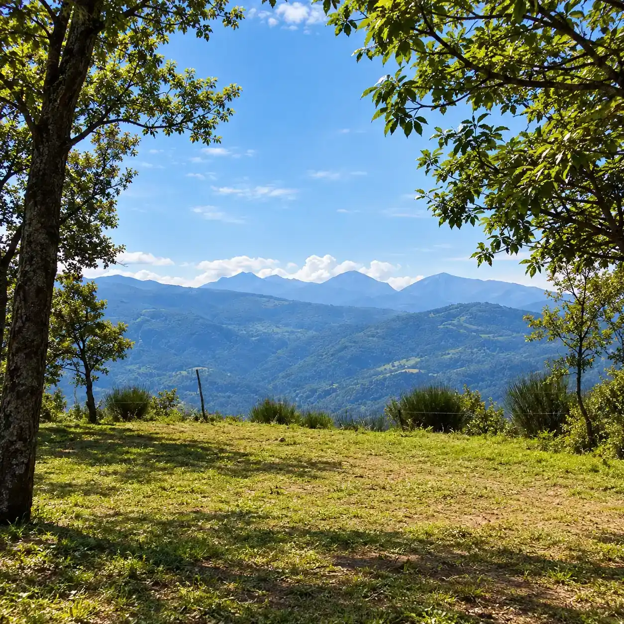 Serra Cerrosa e Belvedere del Pollino